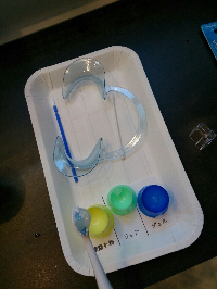 トレーの参考画像